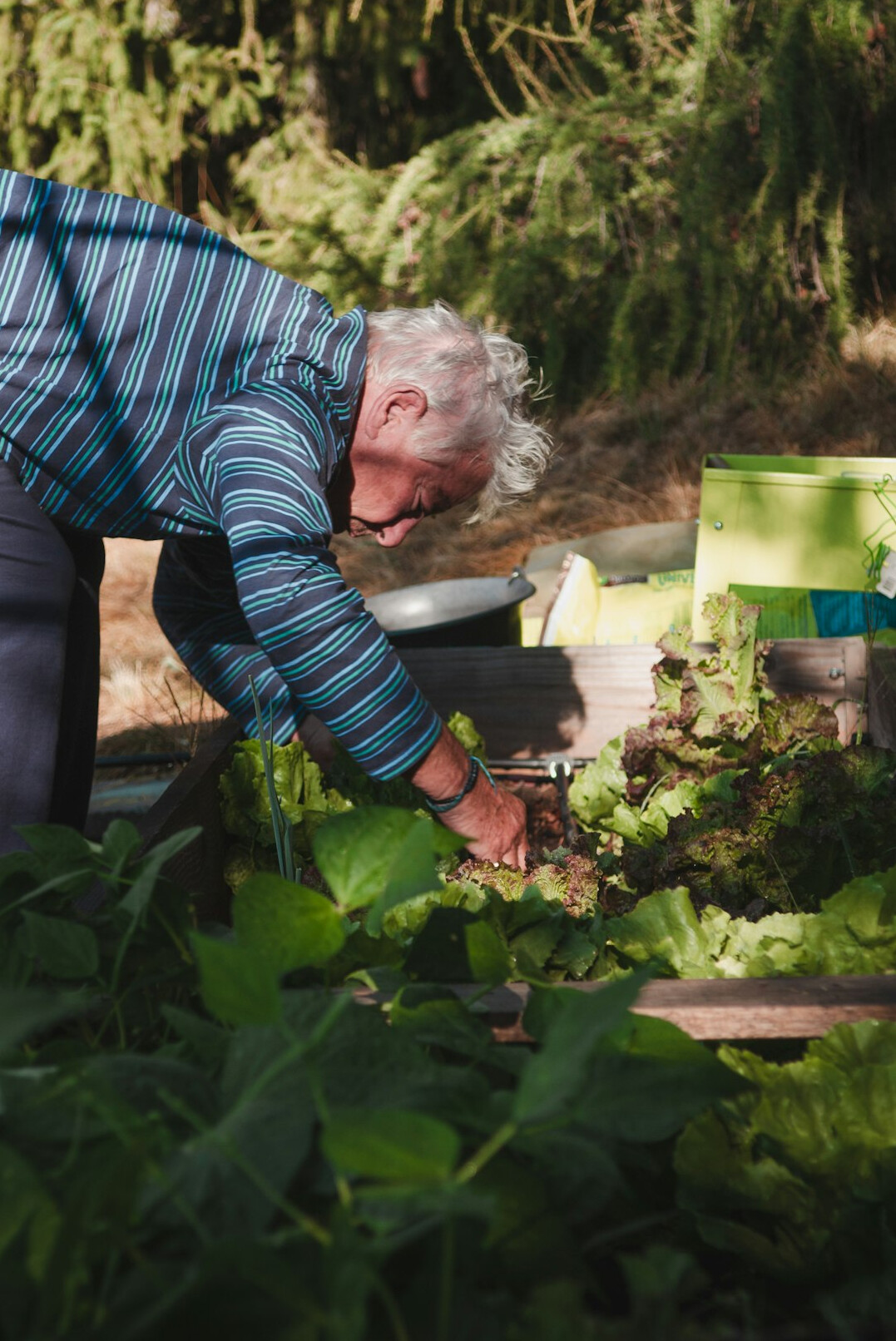 happy elderly woman in garden